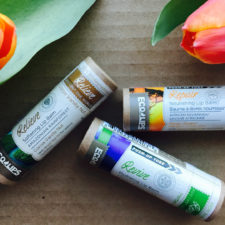 DELISH!  The One World Organic Lip Balms From Eco Lips + You Get 25% Off!